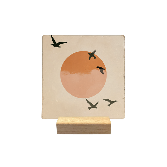 Zwarte vogels