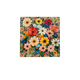 Bloemenveld
