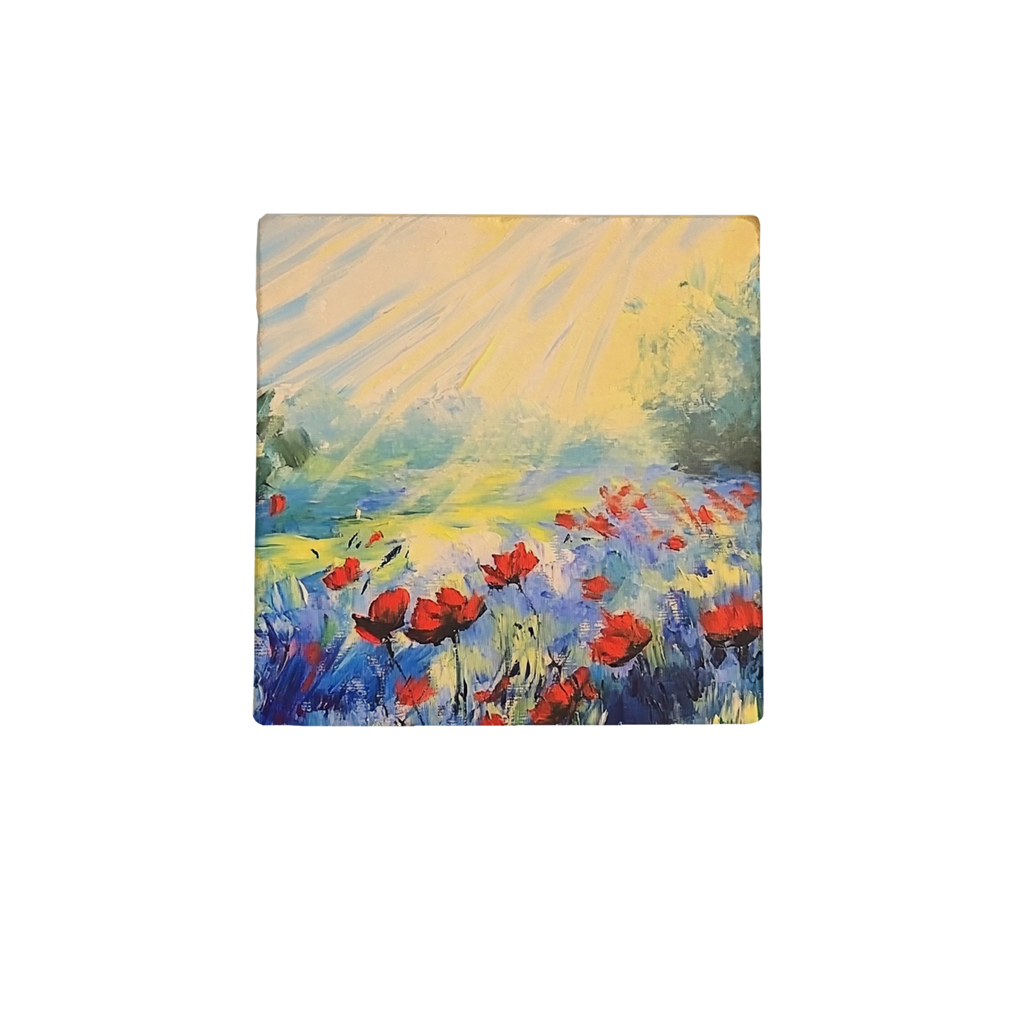 Poppies veld