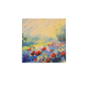 Poppies veld