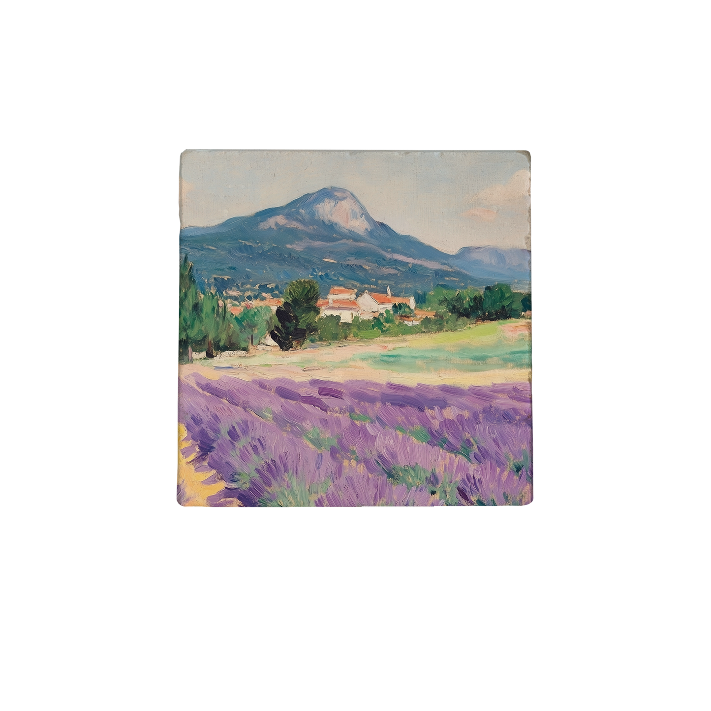 Lavendel velden