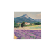 Lavendel velden