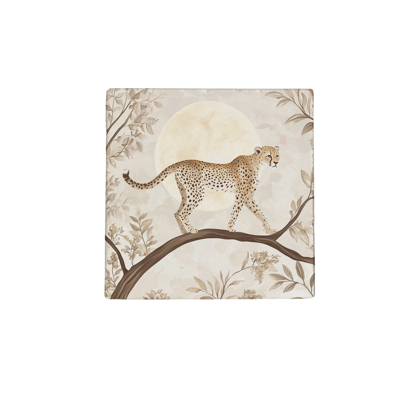Cheeta