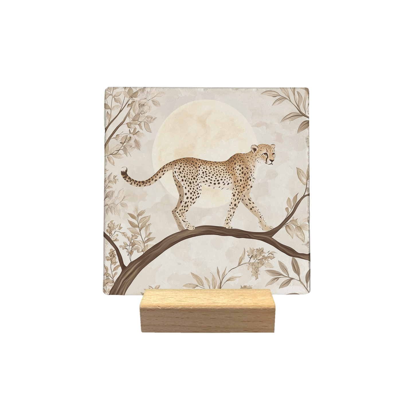 Cheeta
