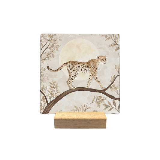 Cheeta