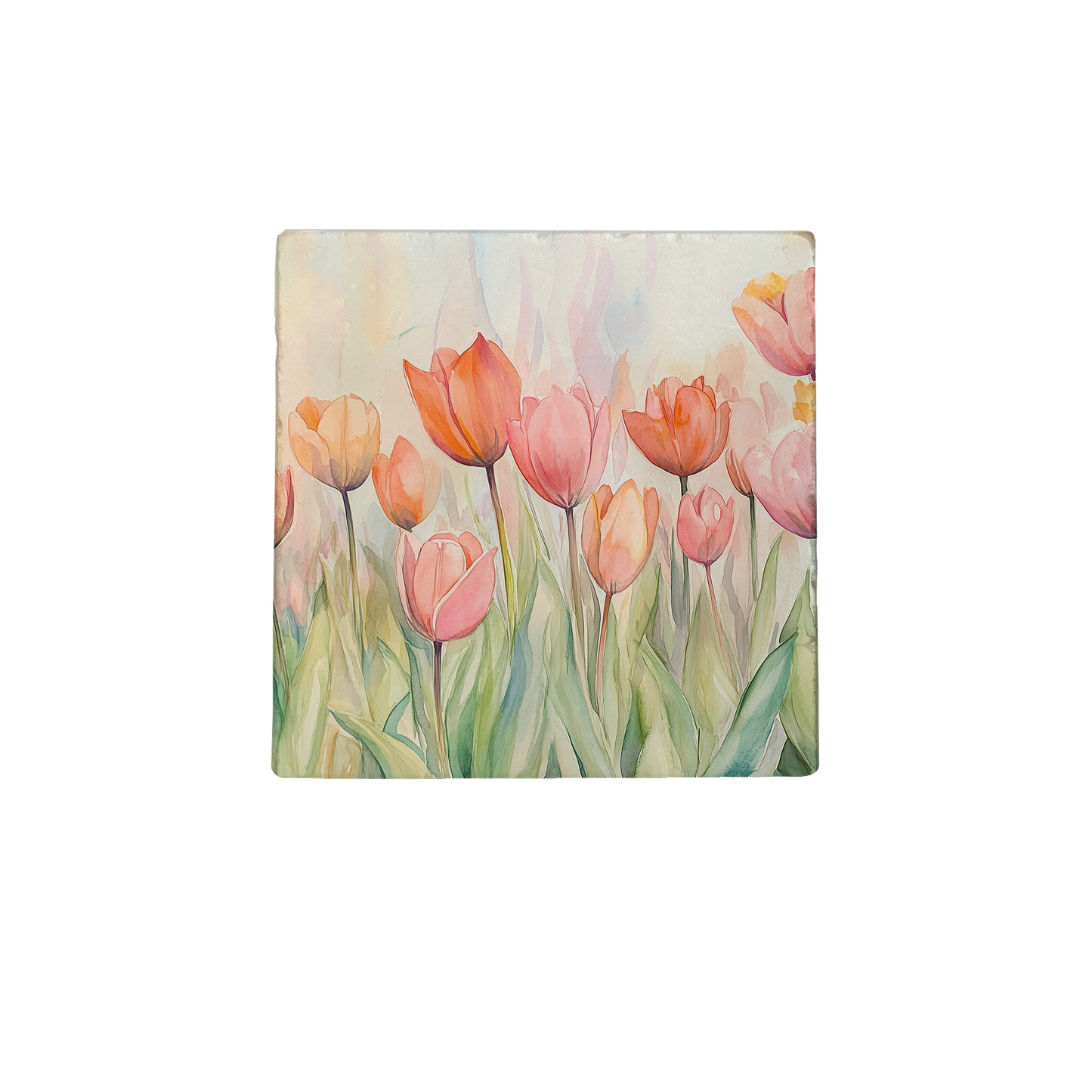 Tulpenveld