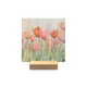 Tulpenveld