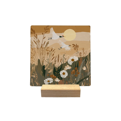 Bloemenveld