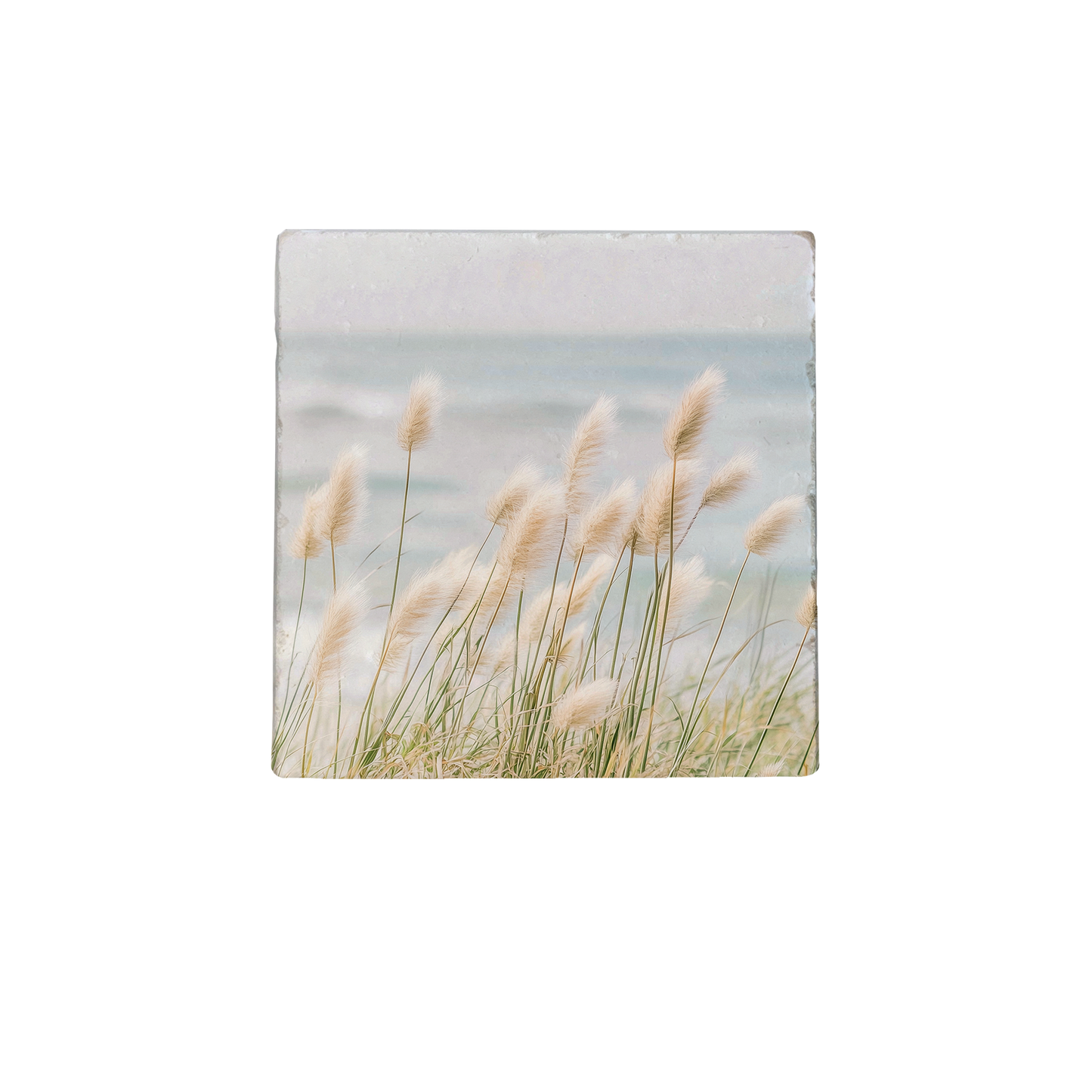 Zeewind