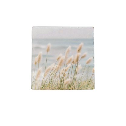 Zeewind