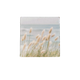 Zeewind