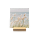 Zeewind