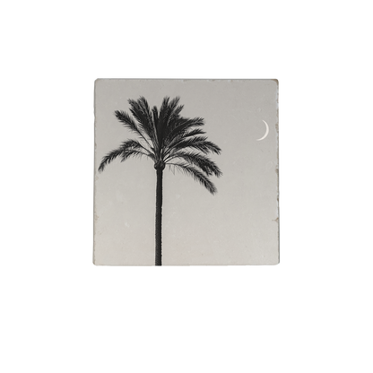 Palmboom