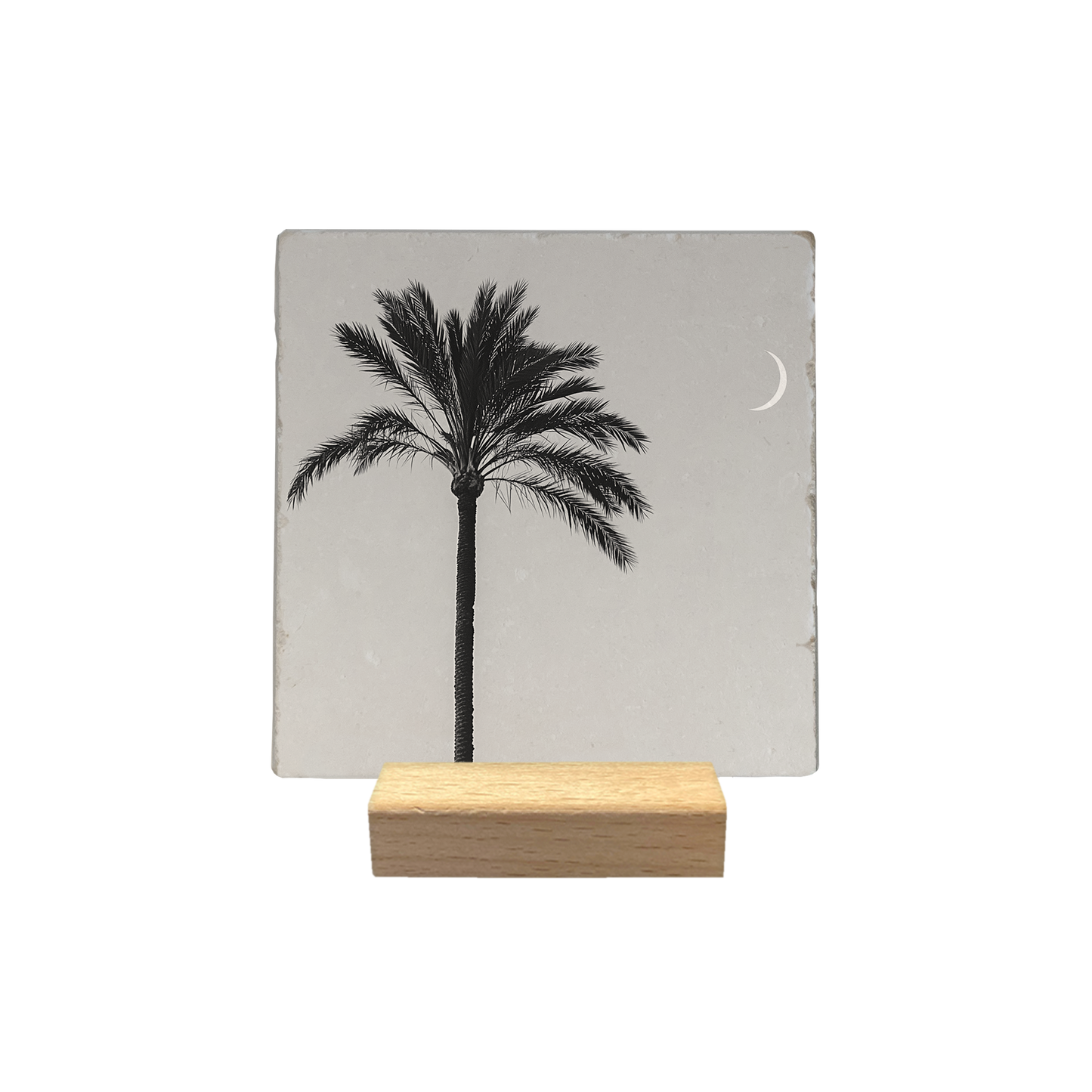 Palmboom