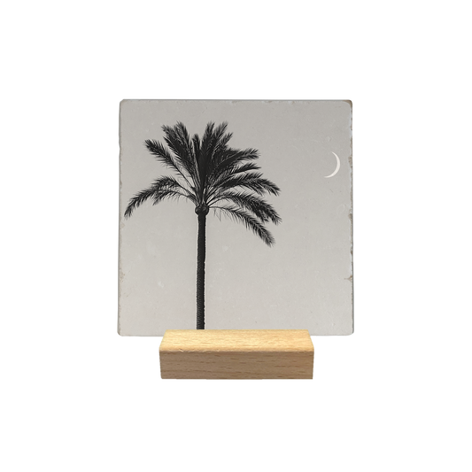 Palmboom