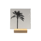 Palmboom