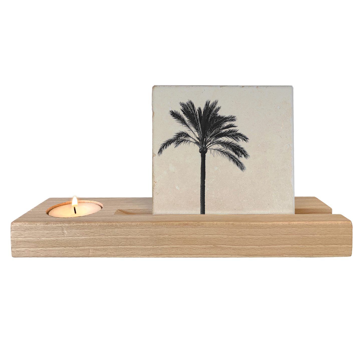 Palmboom