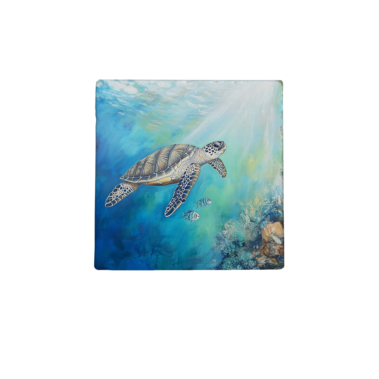 Zeeschildpad