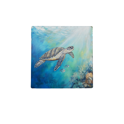 Zeeschildpad