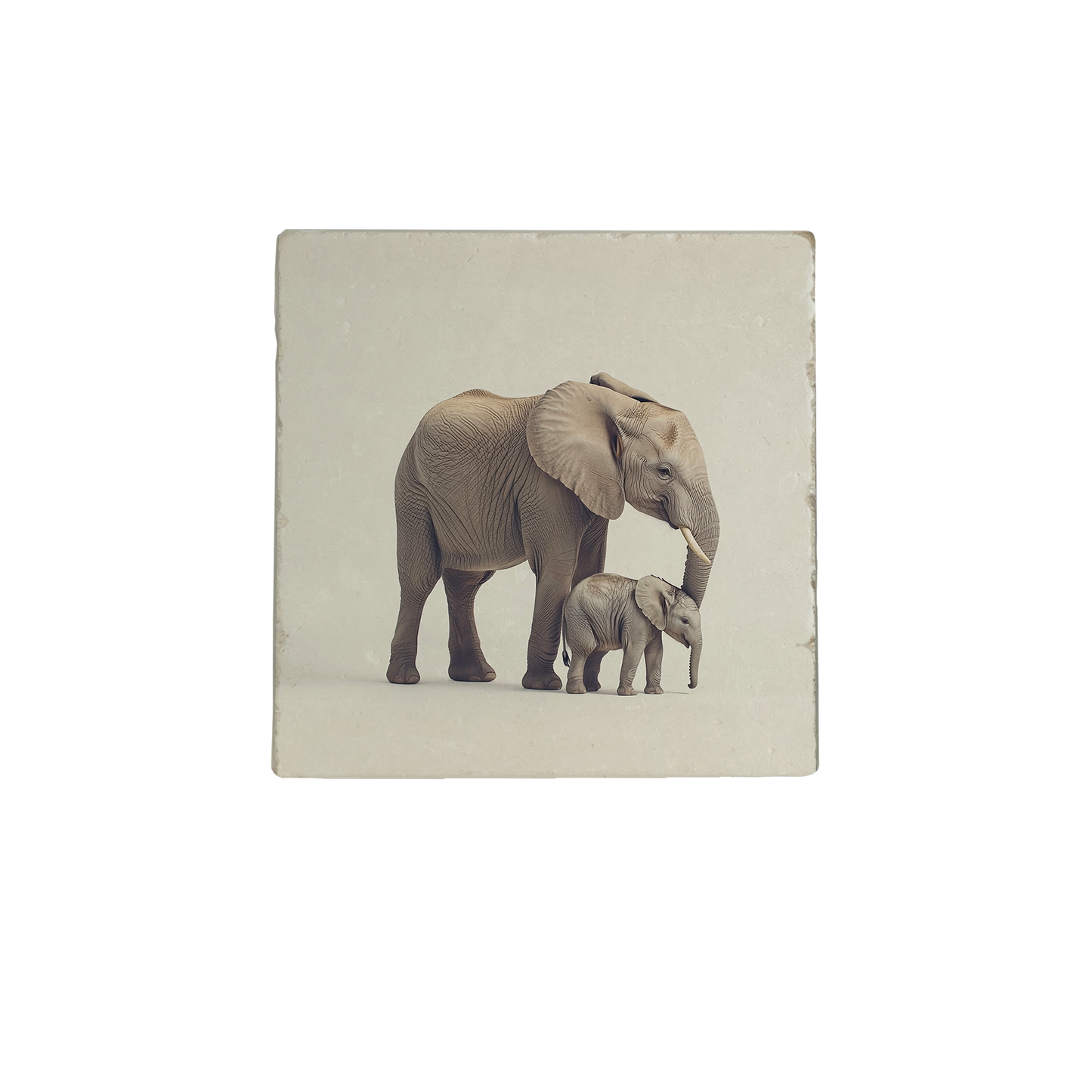 Olifant met baby