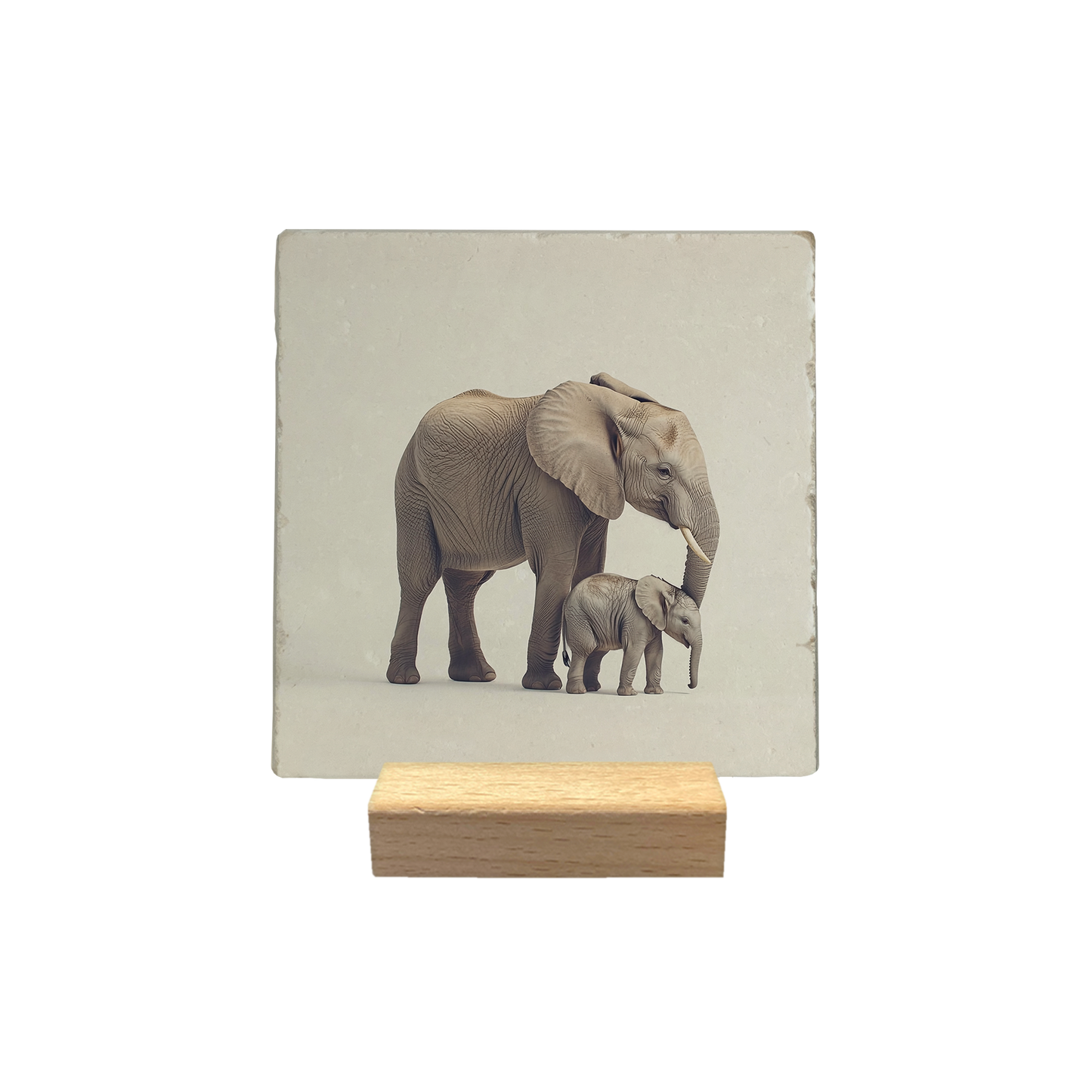 Olifant met baby