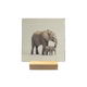 Olifant met baby