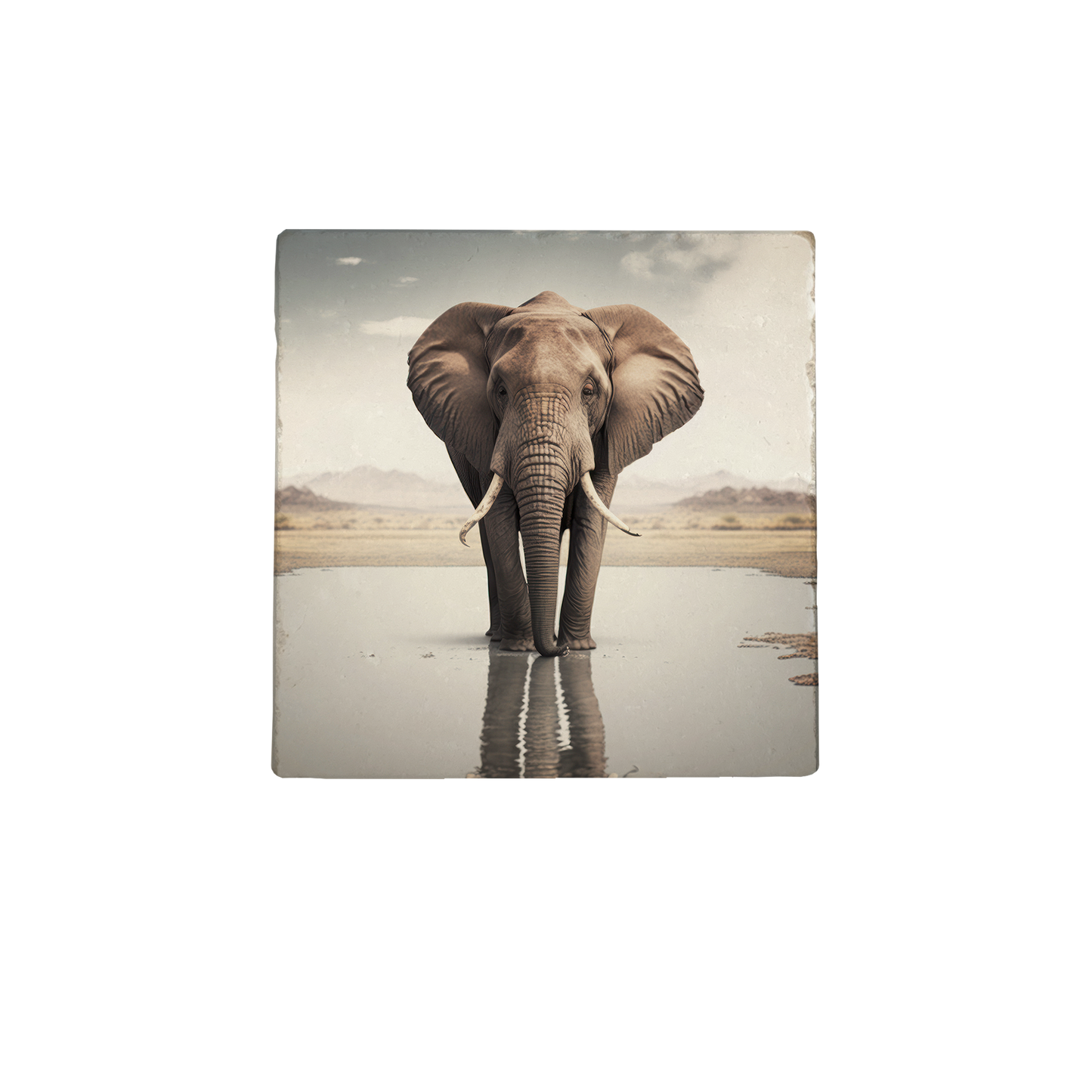 Olifant met baby