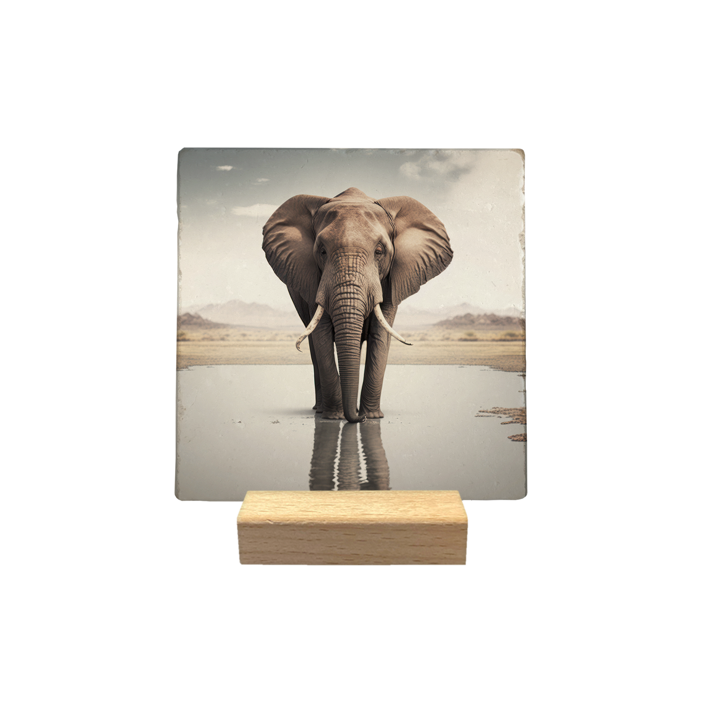 Olifant met baby