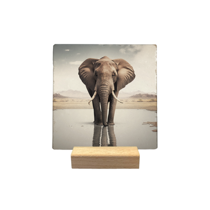 Olifant met baby