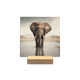 Olifant met baby