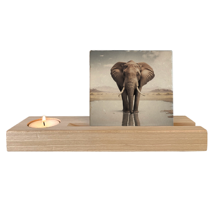 Olifant met baby