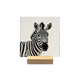 Zeebra
