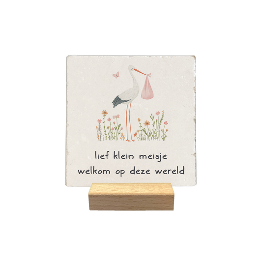 Lief klein meisje