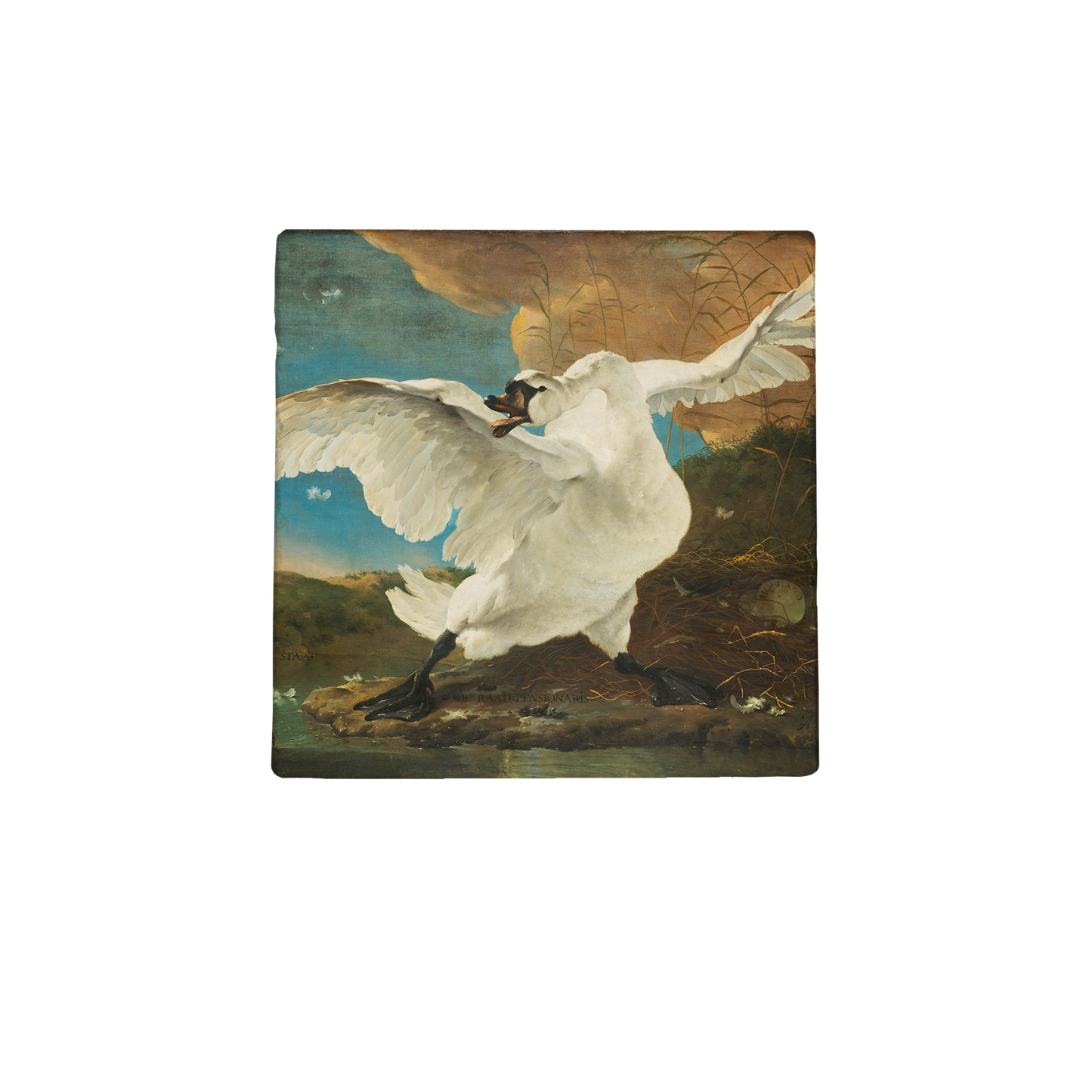 The Threatened Swan