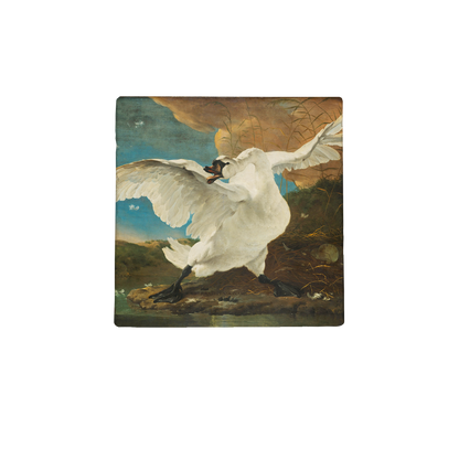 The Threatened Swan