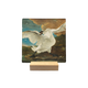 The Threatened Swan