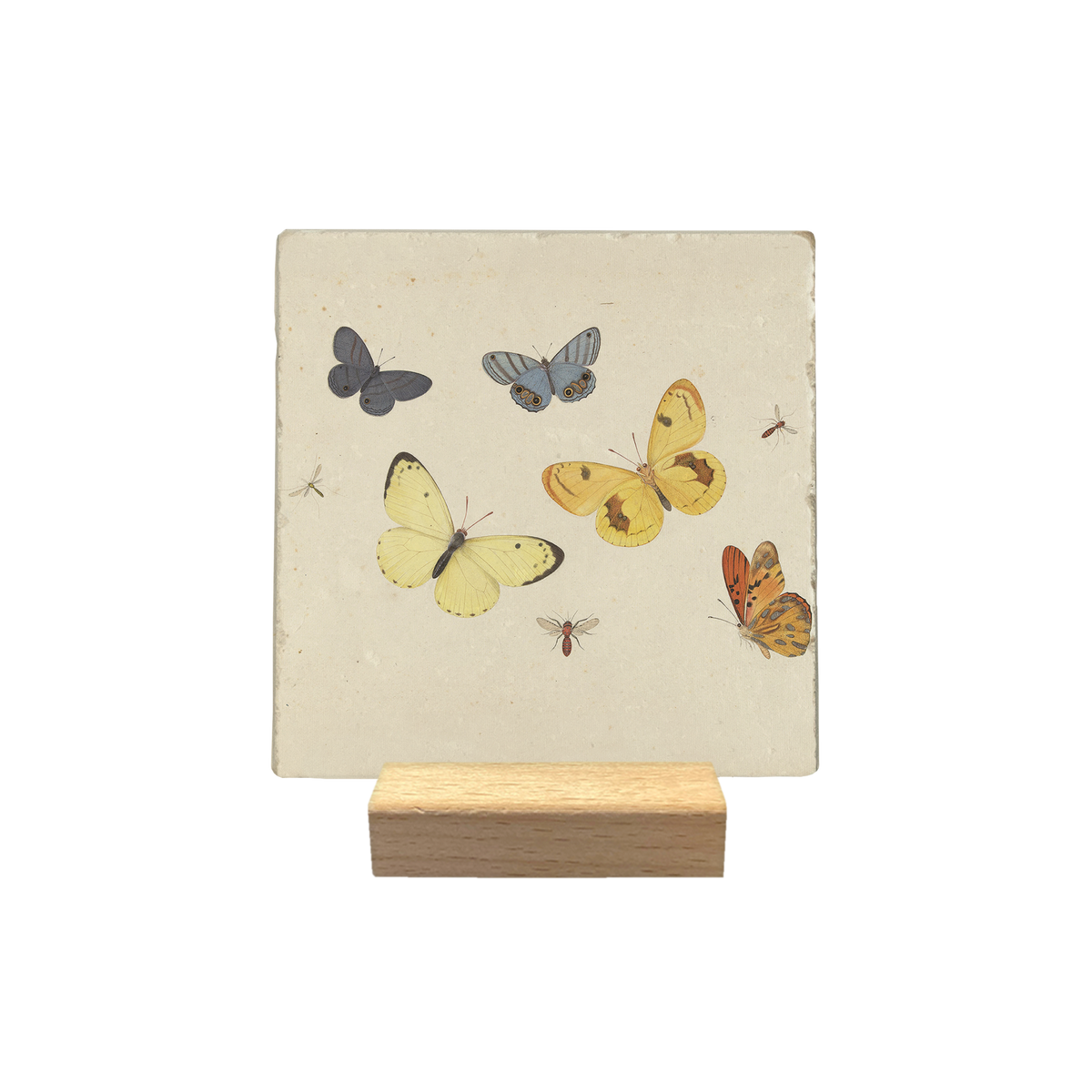 Vlinders en insecten