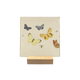 Vlinders en insecten