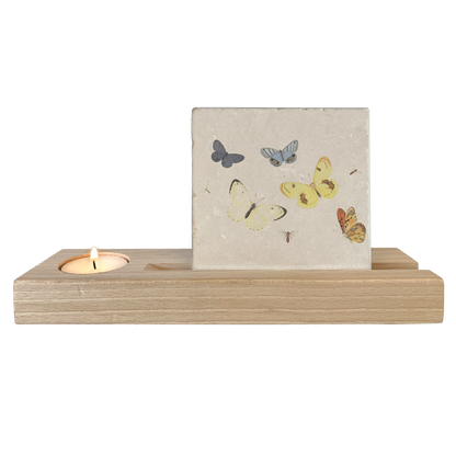 Vlinders en insecten