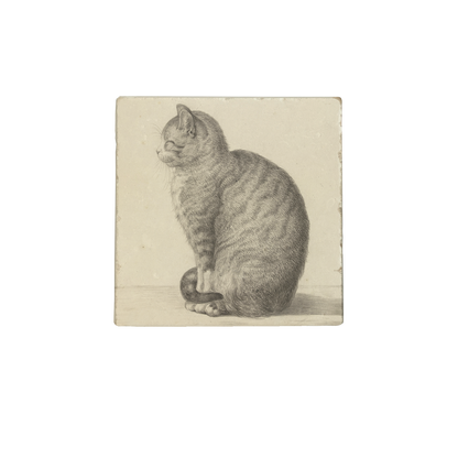 Zittende kat