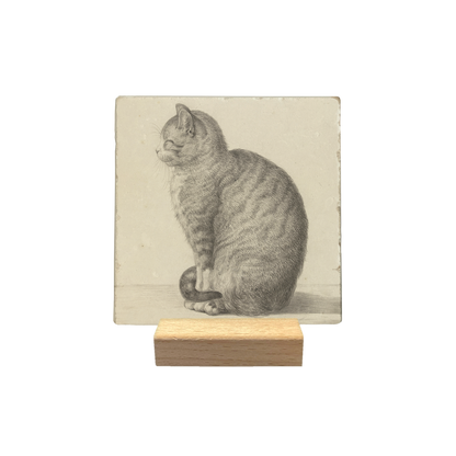 Zittende kat