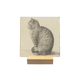 Zittende kat