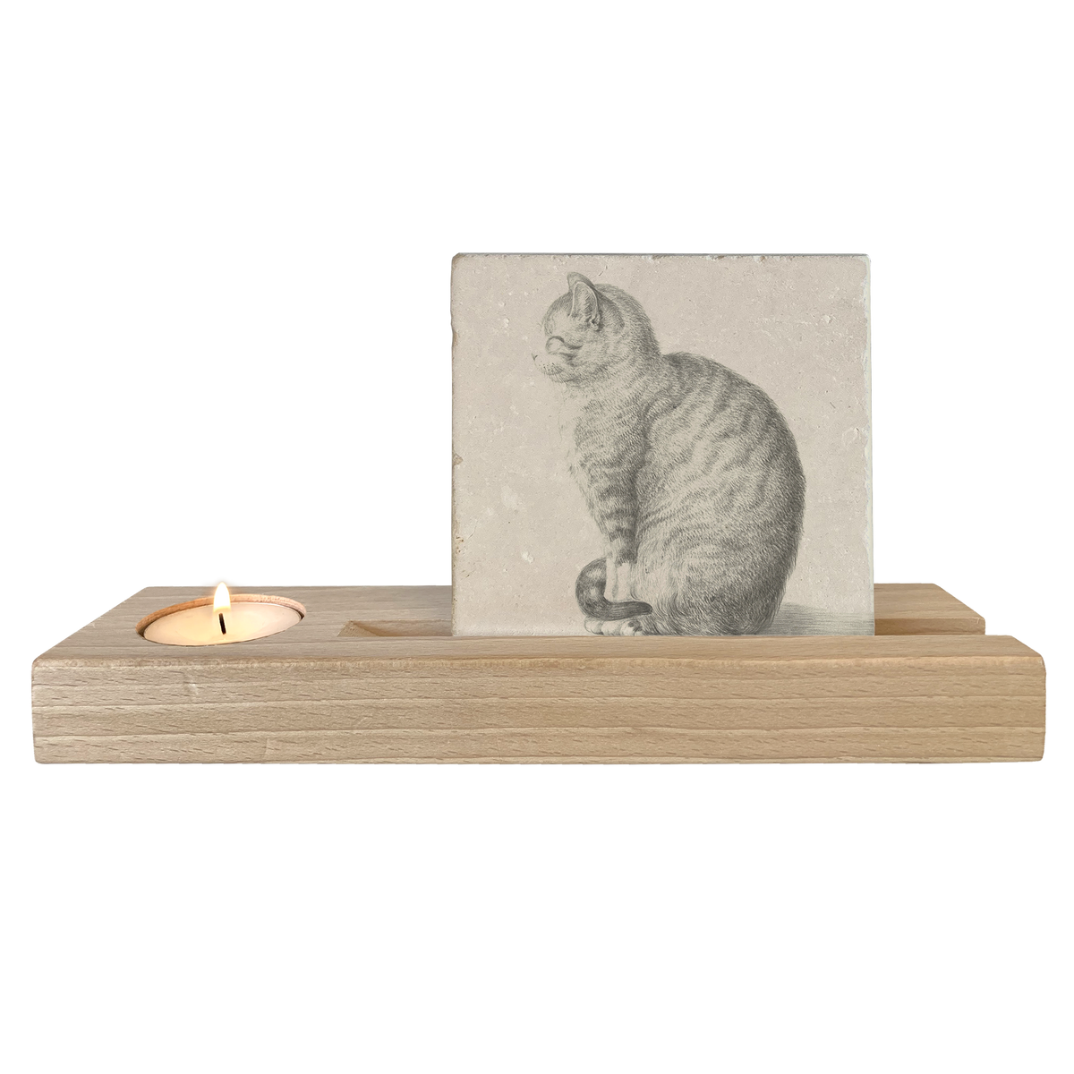 Zittende kat
