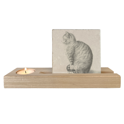 Zittende kat