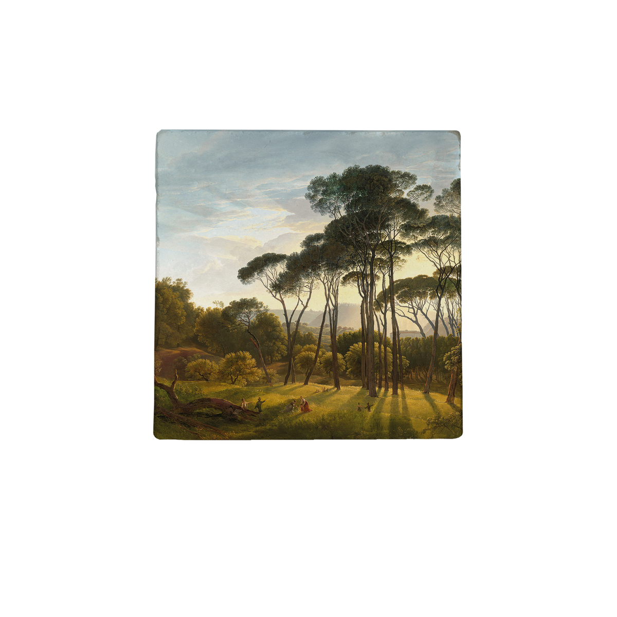 Zonnige bomen