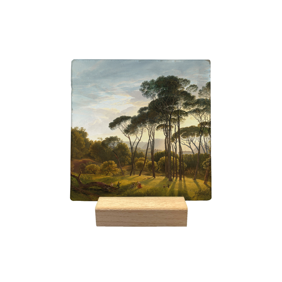 Zonnige bomen