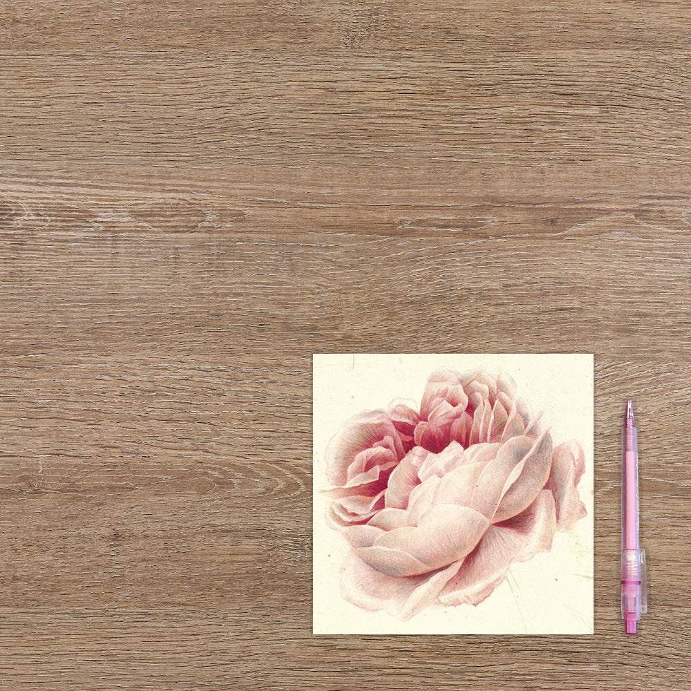 Roze roos