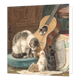 Katten en gitaar - Formaat: Standaard - Vorm: Vierkant - Blanco kaart - Op deze wenskaart zie je mama poes met haar vier kittens. Één kitten zit in de gitaar. Twee zijn aan het spelen met de snaren van de gitaar. En de laatste zit naast mama poes op een krukje. - Snelwenskaart