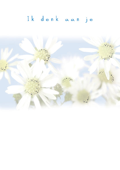 Ik denk aan je