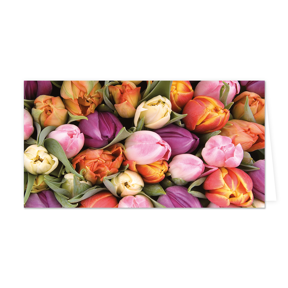 Tulpen - Formaat: Groot - Vorm: Liggend - Blanco kaart - Op deze wenskaart staan tulpen in de kleuren geel, oranje, roze en paars - Snelwenskaart